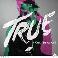 Avicii - Hey Brother