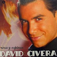 David Civera - Rosa y espinas