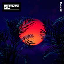 David Guetta - Flames