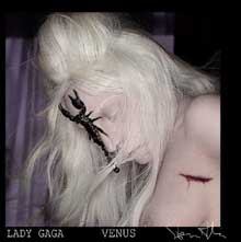 Lady Gaga - Venus