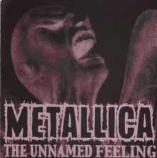 Metallica - The Unnamed Feeling