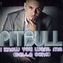 Pitbull - I Know You Want Me (Calle Ocho)